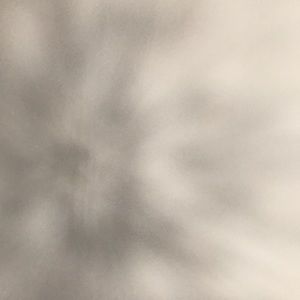 Meet your Posher, Sameera